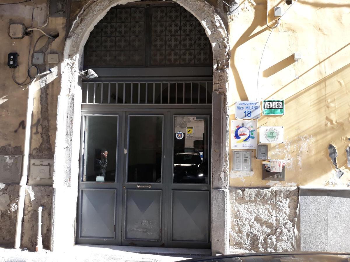 Center Napoli